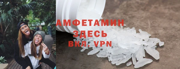 молекула духа Богданович