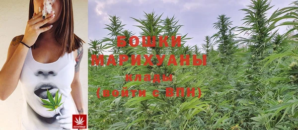 прущие крисы Верхний Тагил