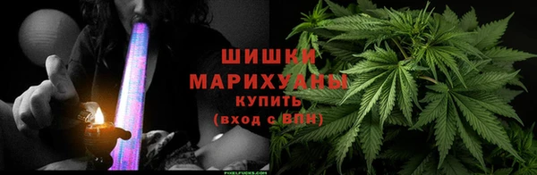 молекула духа Богданович