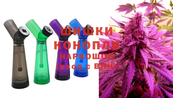 молекула духа Богданович