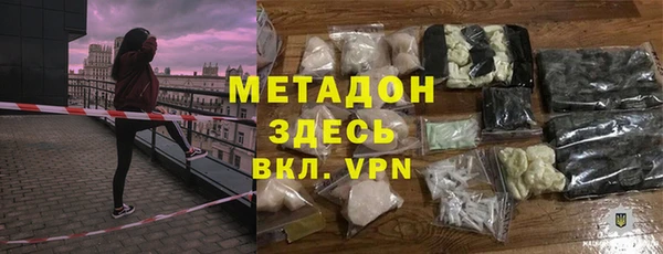 молекула духа Богданович