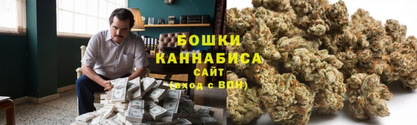 молекула духа Богданович