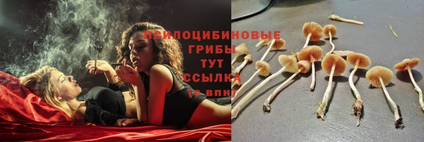 каннабис Верея