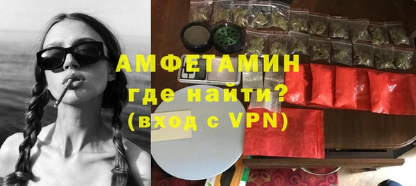 молекула духа Богданович
